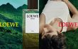 LOEWE Perfumes: Những “Sắc Xanh” dành riêng cho Người Cha hiện đại