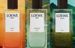 Top 3 mùi hương Elixir đình đám trong BST Landscape Collection của LOEWE Top 3 mùi hương Elixir đình đám trong BST Landscape Collection của LOEWE
