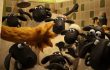 Những phần phim làm nên tên tuổi của thương hiệu Shaun The Sheep Những phần phim làm nên tên tuổi của thương hiệu Shaun The Sheep